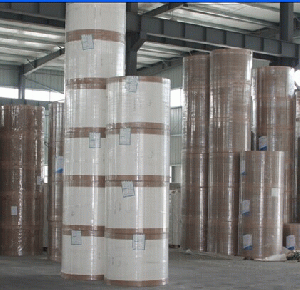 Double Side Pe Coated Paper For Cup